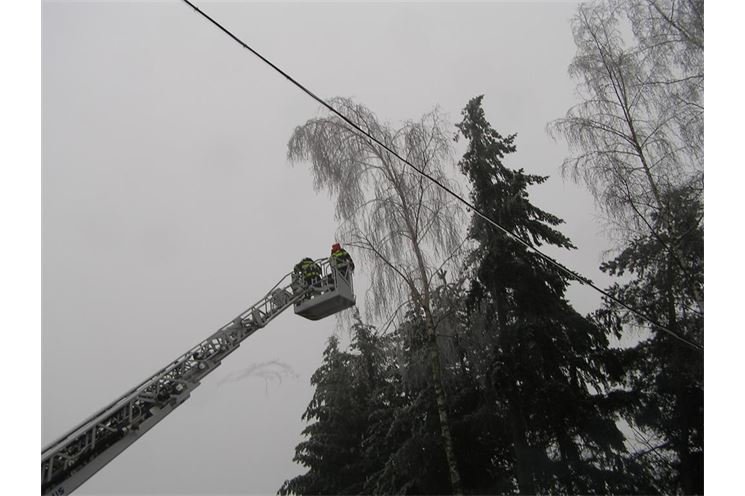 3.12.2014 Míšov - nahnuté stromy