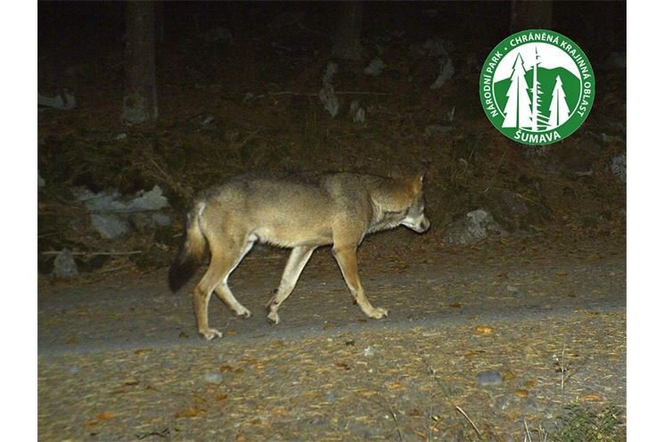 FOTO_NP Šumava FOTO_NP Šumava
