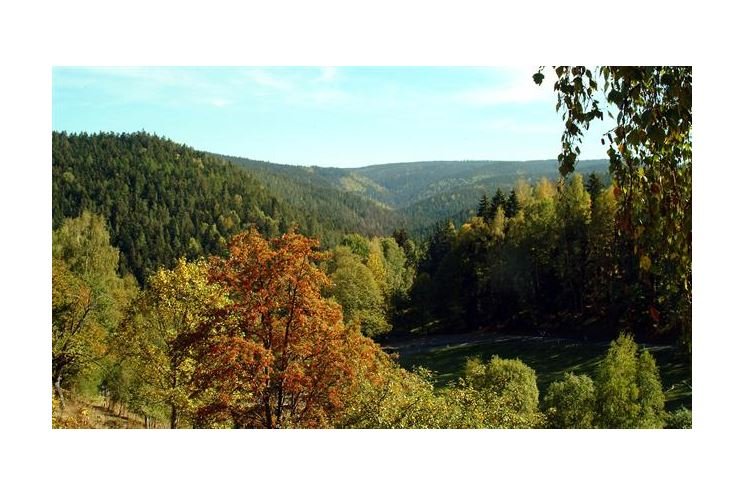 Šumava446 Šumava446