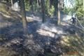19.6.2017 (TC 13.01) požár lesa Erpužice 2