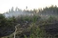 19_4_2018 požár lesního porostu Žlíbek (2)