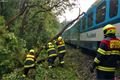 29_5_2018 DN železniční_vlak do stromu (7)