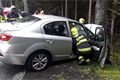 auto narazilo do stromu u Javorné