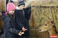 Adriana s Dominikem mohli krmit nyaly a nakonec i zebry. 