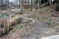 Úpravy břehů Košuteckého jezírka.