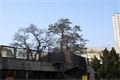 DSC08196