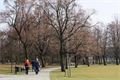 Borský park se stal cílem řady procházek.