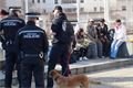 Lokalita mezi Tescem a budovou Krajského ředitelství policie Plzeňského kraje. 