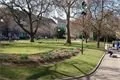 DSC08247