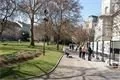 DSC08248