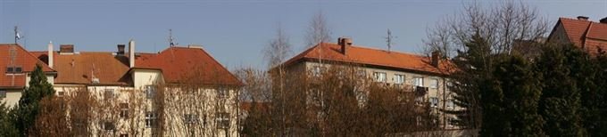 DSC03786