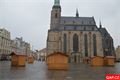 DSC_0409 (800x532)