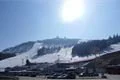 SDC10570