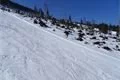 SDC10542
