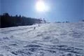 SDC10568