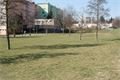 DSC08225