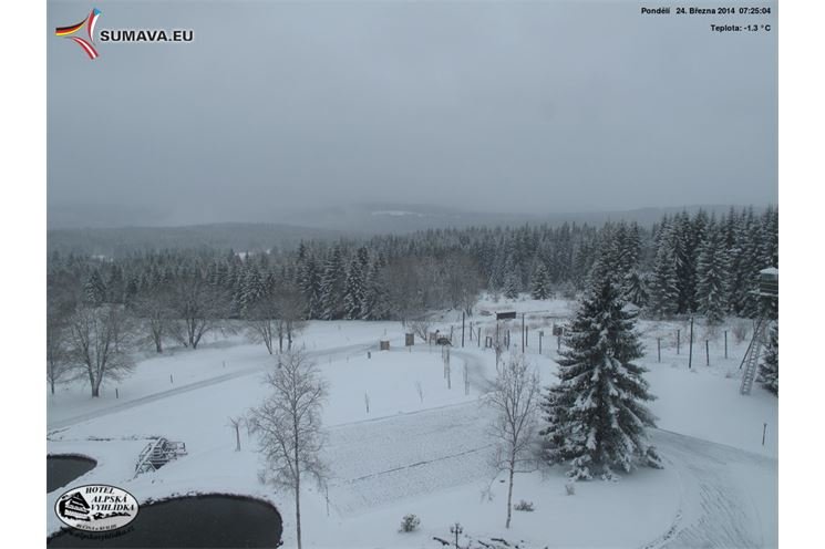 Bučina, zdroj: www.sumava.eu 
