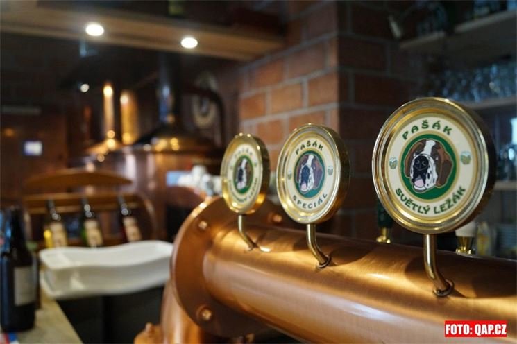 Jaro v pivovaru a restauraci U Pašáka v Plzni se vítá speciálním kopřivovým pivem. Jaro v pivovaru a restauraci U Pašáka v Plzni se vítá speciálním kopřivovým pivem.
