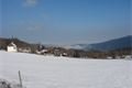 DSC06519