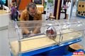 Nová rozšířená Techmania Science Center. 