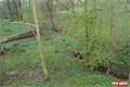 DSC04533