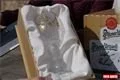 DSC04772