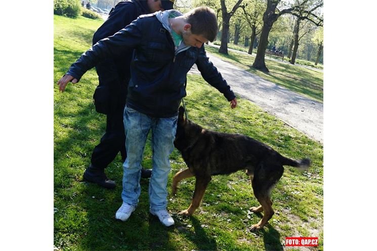 Kontroly v Borském parku sílí. 