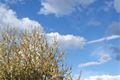 DSC08831