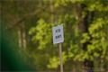 Majales_Plzen_JB67