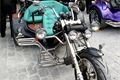 DSC09484