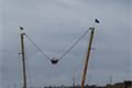 DSC09604