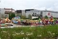 DSC09577