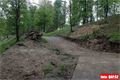 lochotinsky park_rekonstrukce2014 (2)