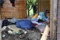 Demolice obydlí pro asociální osoby ve Skvrňanech.&nbsp;