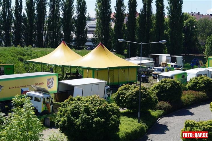 Cirkus Jo - Joo bude v Plzni od 21. května do 8. června.