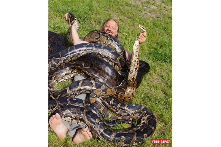 Hromada hadů je hotová.