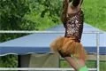 DSC00188