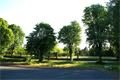 DSC00420