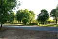 DSC00424