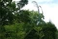 DSC00788