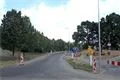 SDC11265