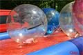 DSC_1396 (1024x681)