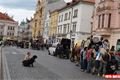 Pochod za svobodu projevu_QAP foto (53)