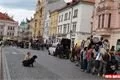 Pochod za svobodu projevu_QAP foto (53)