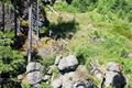 rozhledna špičák Šumava_foto QAP (22)