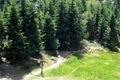 rozhledna špičák Šumava_foto QAP (23)