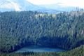 rozhledna špičák Šumava_foto QAP (27)