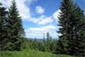 rozhledna špičák Šumava_foto QAP (2)