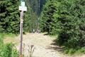 rozhledna špičák Šumava_foto QAP (4)
