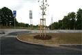 DSC01983